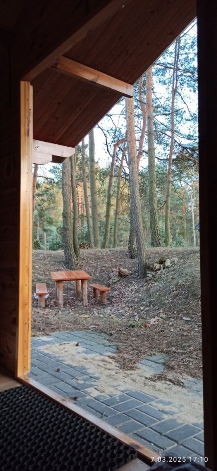 Działka leśna Swolszewice Duże, ul. Kryształowa. Zdjęcie 8