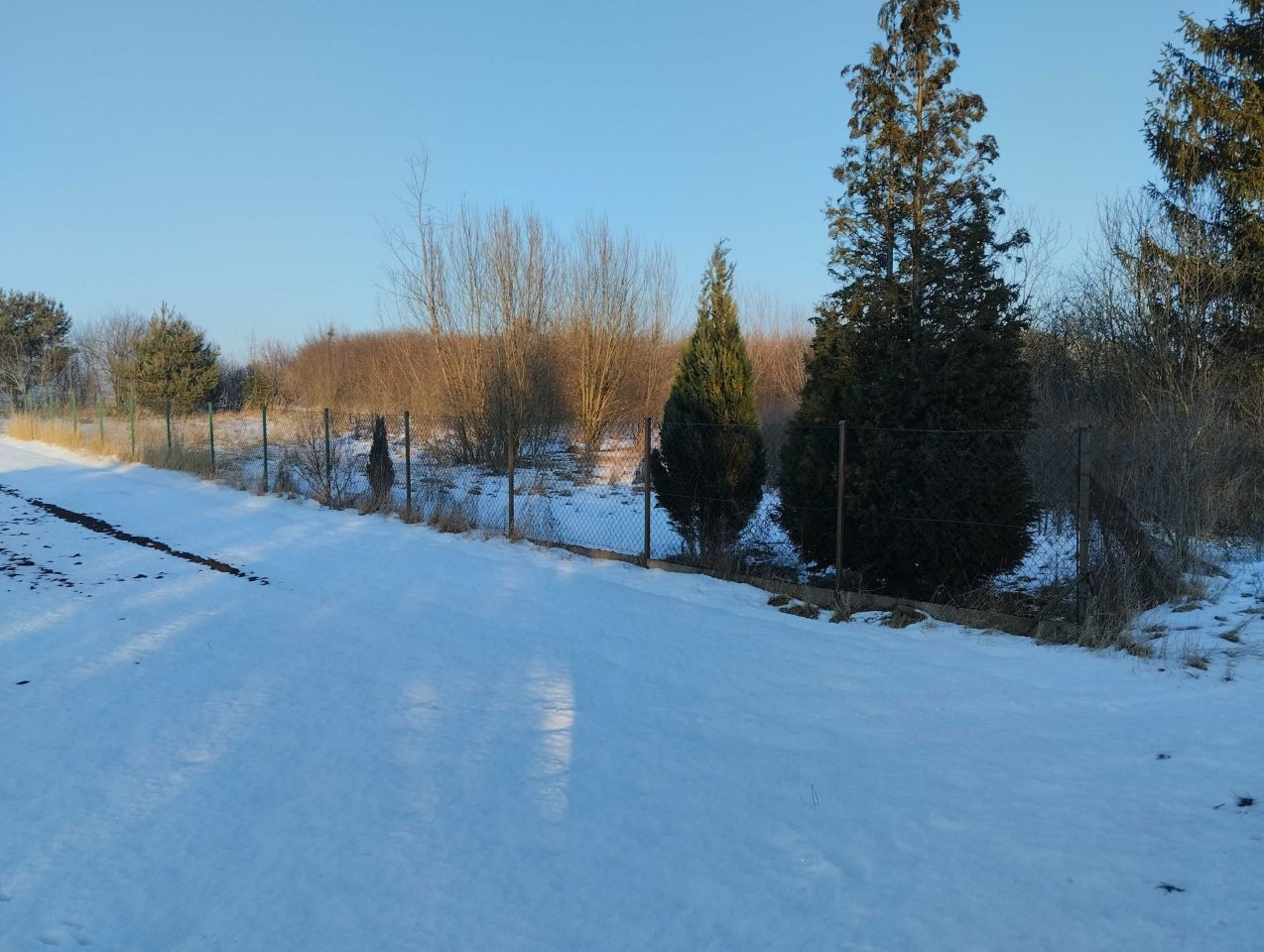 Działka rolno-budowlana Młodzawy Duże. Zdjęcie 1