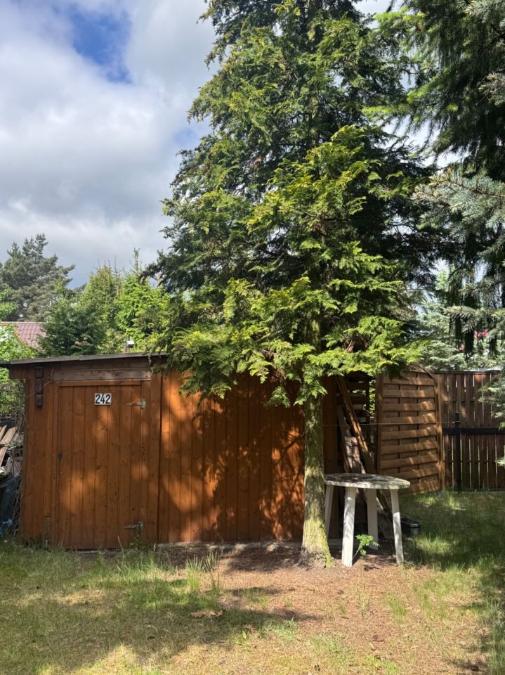 Działka rod Imielno. Zdjęcie 6