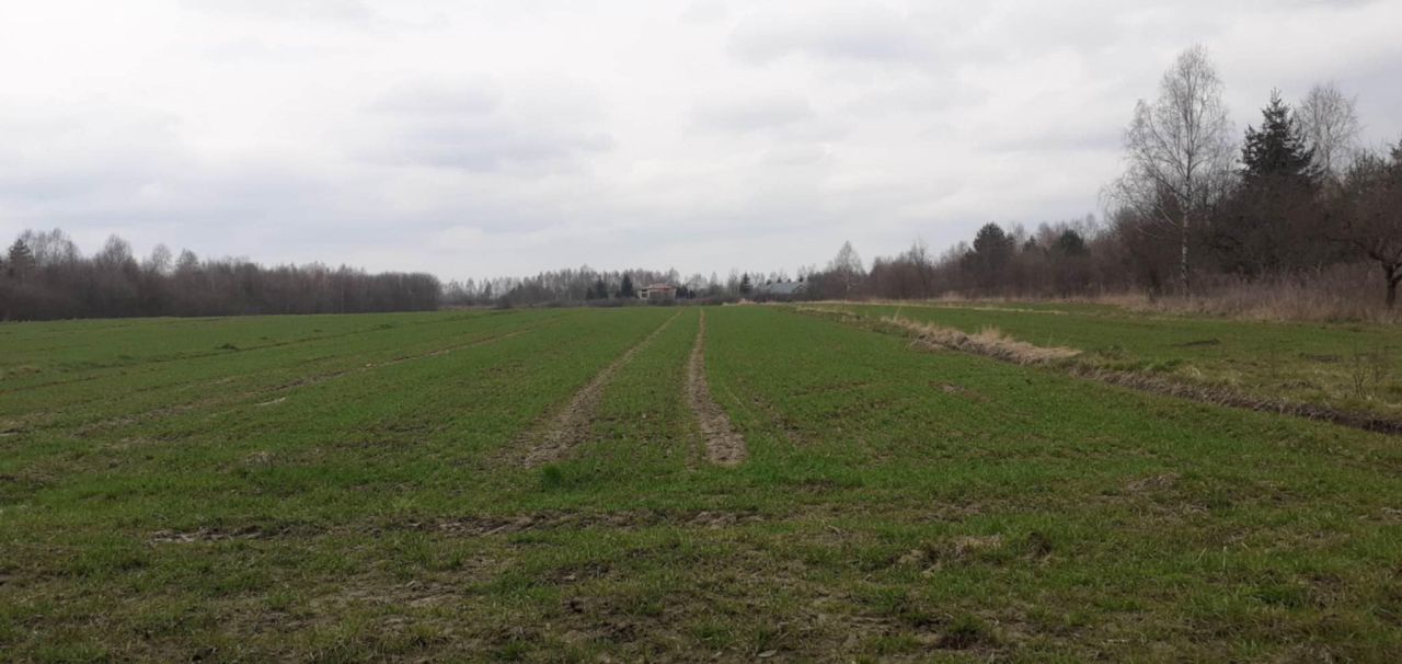 Działka rolno-budowlana Radomsko Zakrzówek, ul. Spacerowa. Zdjęcie 8