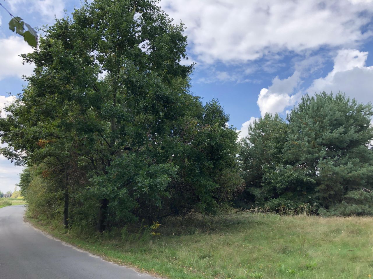 Działka budowlana Kuźnica Wąsowska, ul. Rzeczna. Zdjęcie 7