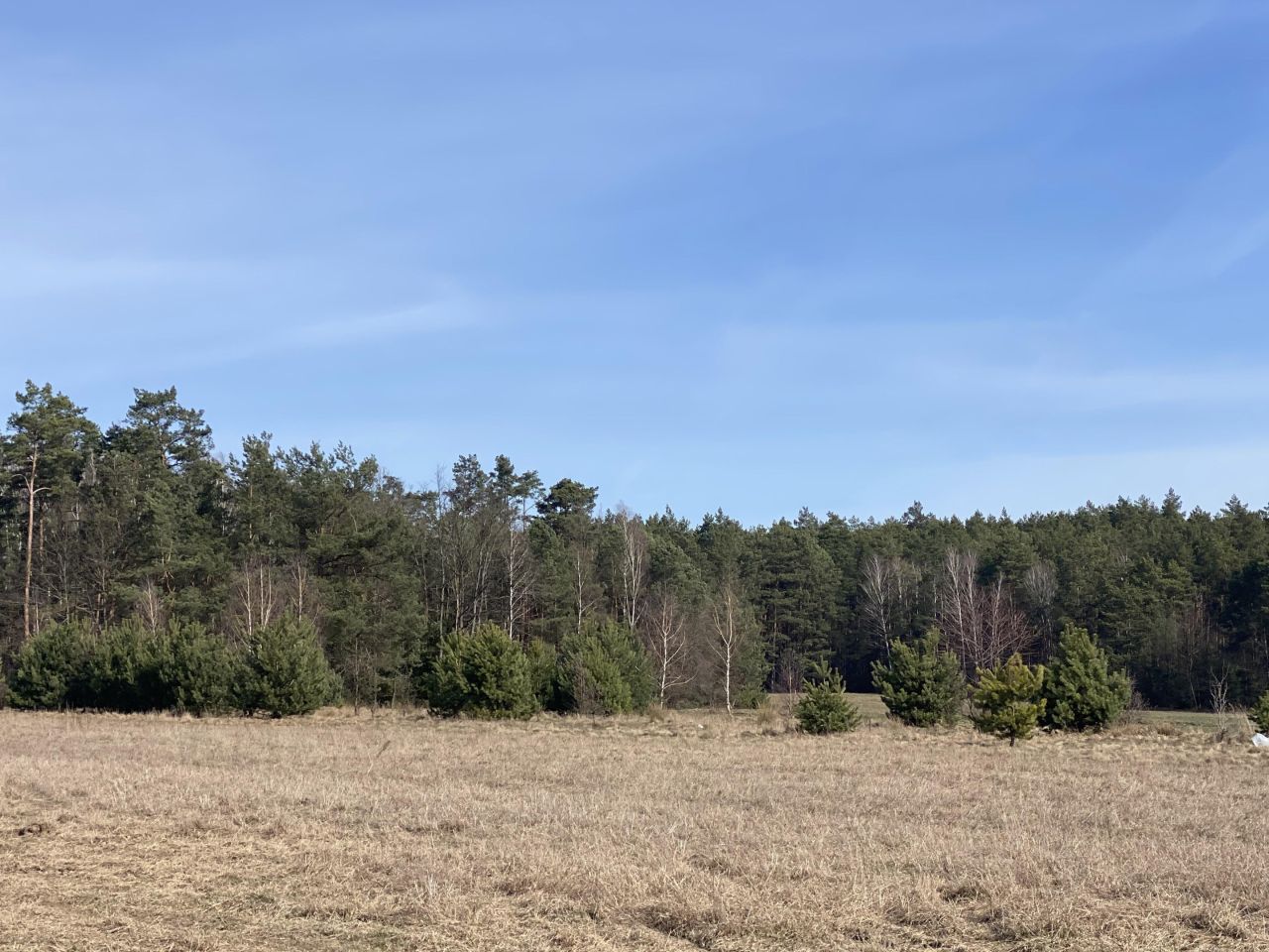 Działka budowlana Nowa Osuchowa, ul. Szkolna