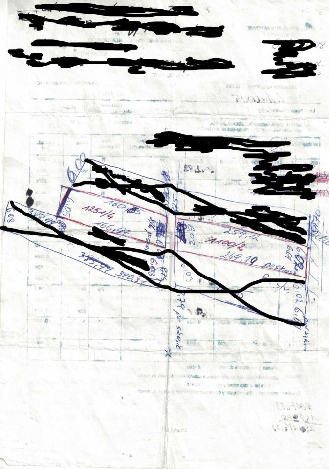 Działka leśna Grabów Szlachecki