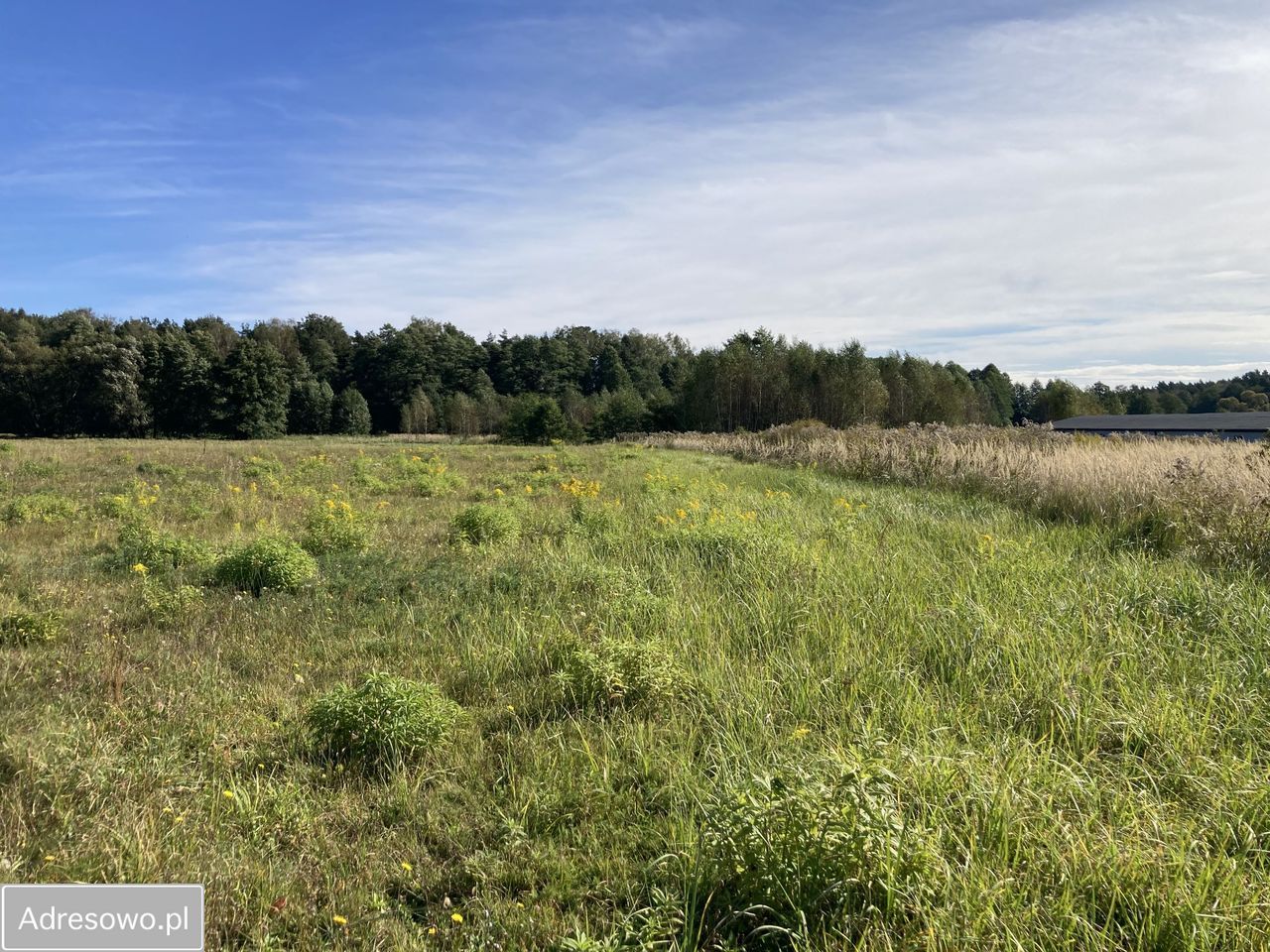 Działka inwestycyjna Orzesze Gardawice, ul. Drużynowa. Zdjęcie 2