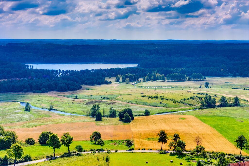 Działka rekreacyjna Mostkowo. Zdjęcie 19