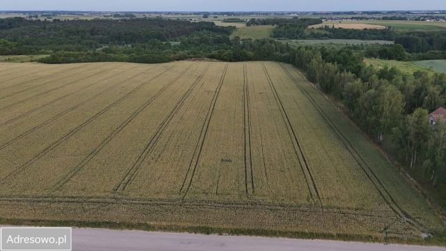 Działka budowlana Katarzynki. Zdjęcie 1