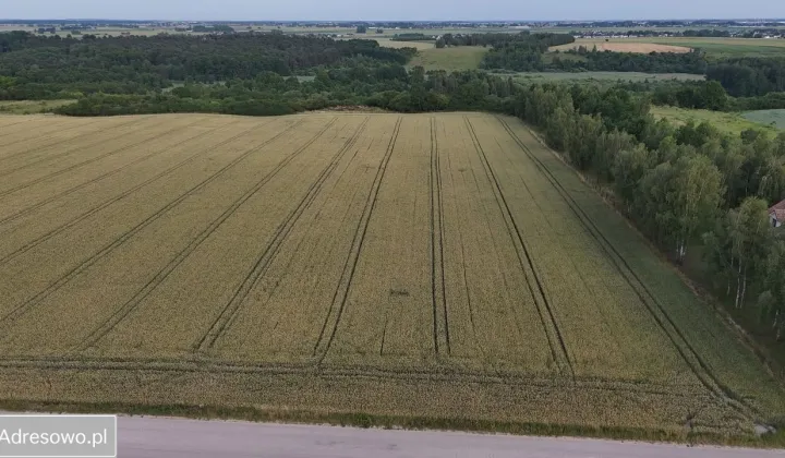 Działka budowlana Kobylnica