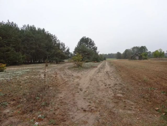 Działka budowlana Kiciny