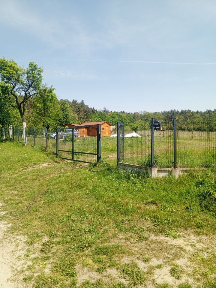 Działka budowlana Niedary. Zdjęcie 12