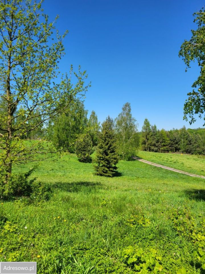 Działka rolna Dys, ul. Bernatówka. Zdjęcie 3
