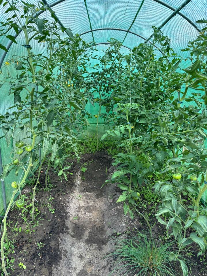 Działka rod Szczecin Skolwin. Zdjęcie 3