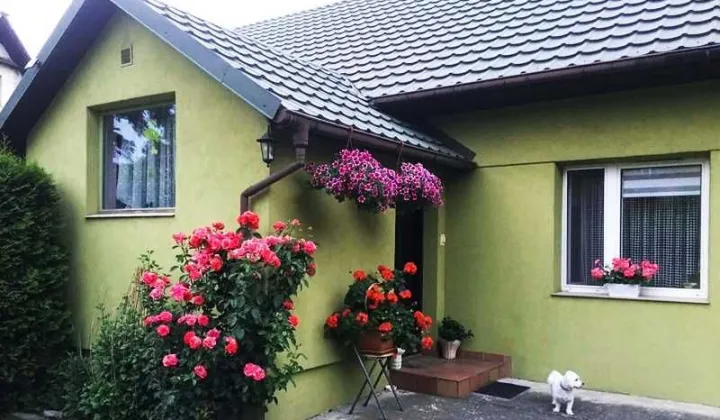 dom wolnostojący, 5 pokoi Grojec, Jagiellończyka