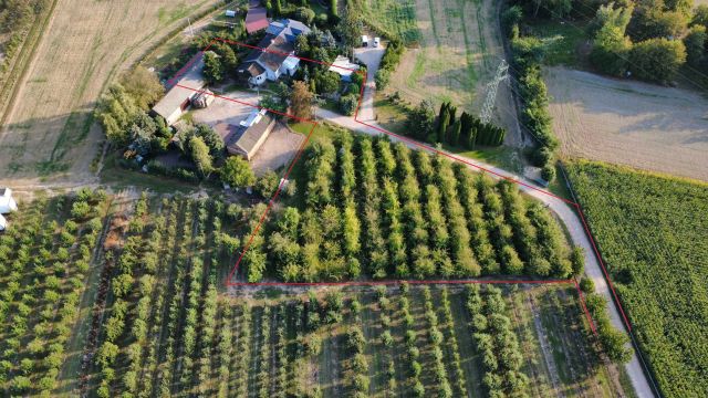 Działka siedliskowa Kostrogaj. Zdjęcie 1