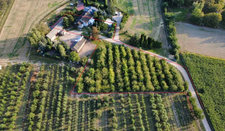 Działka siedliskowa Kostrogaj