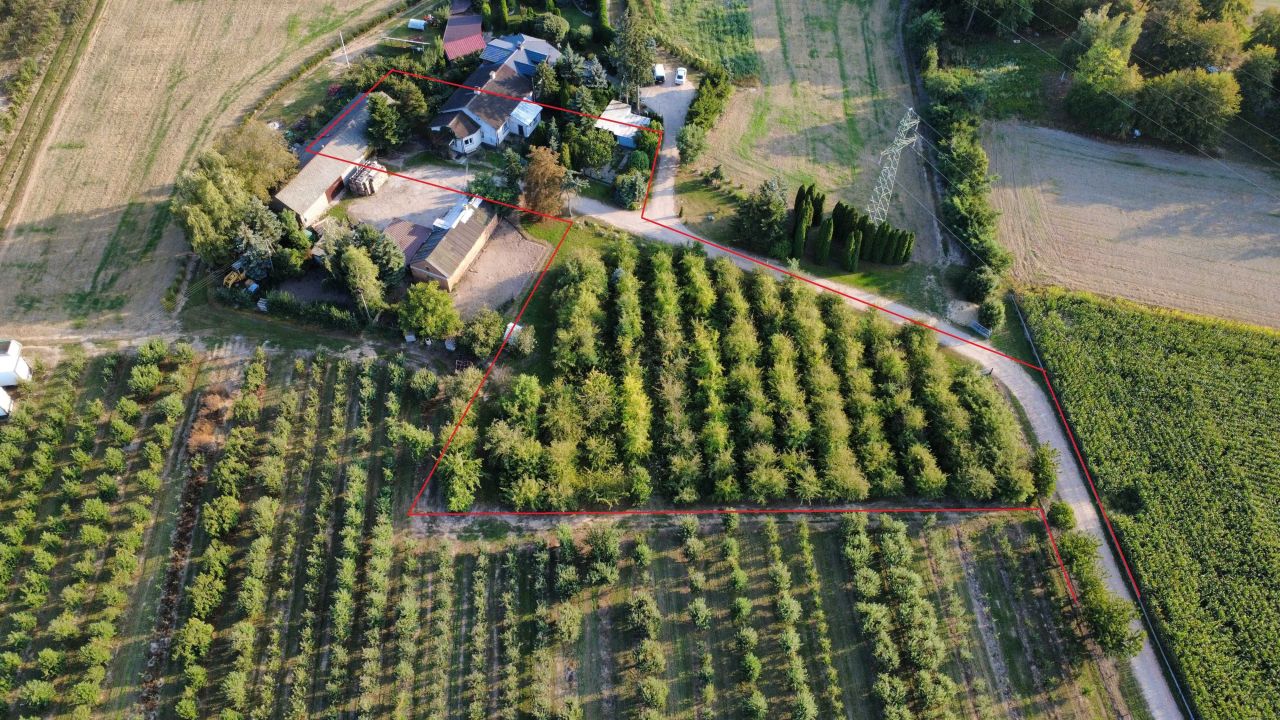 Działka siedliskowa Kostrogaj. Zdjęcie 1