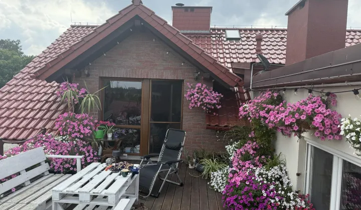 dom wolnostojący, 9 pokoi Niedaszów