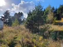 Działka budowlana Łupstych. Zdjęcie 2