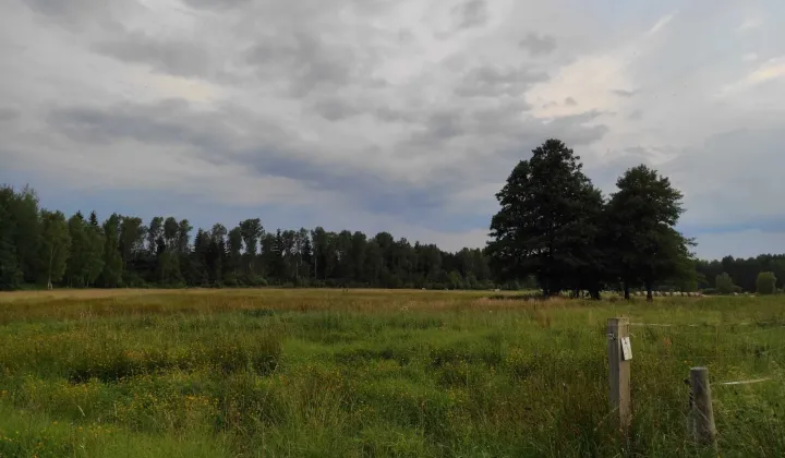 Działka rolno-budowlana Krzywczyce
