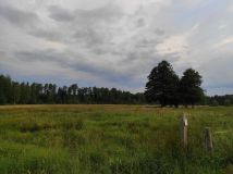 Działka rolno-budowlana Krzywczyce