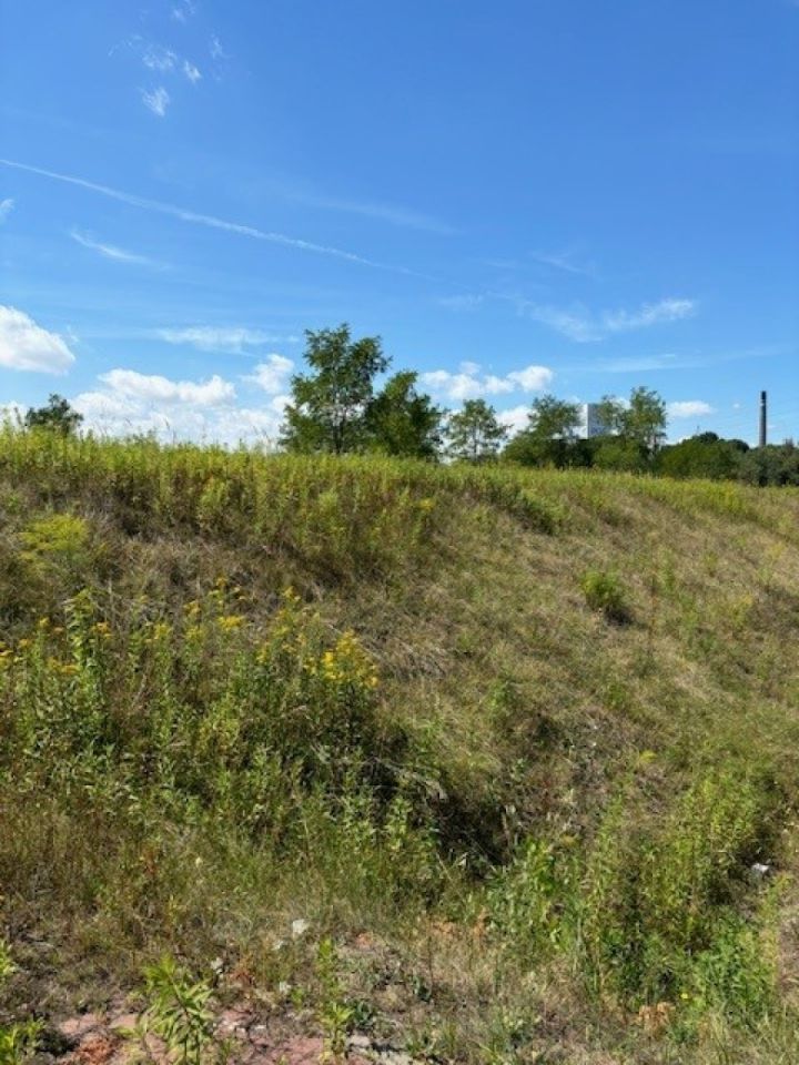 Działka inna Ruda Śląska. Zdjęcie 6