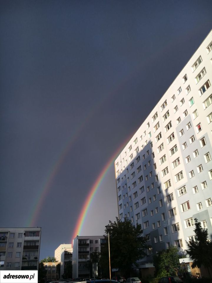 Mieszkanie 1-pokojowe Legionowo Centrum, ul. Marysieńki. Zdjęcie 5