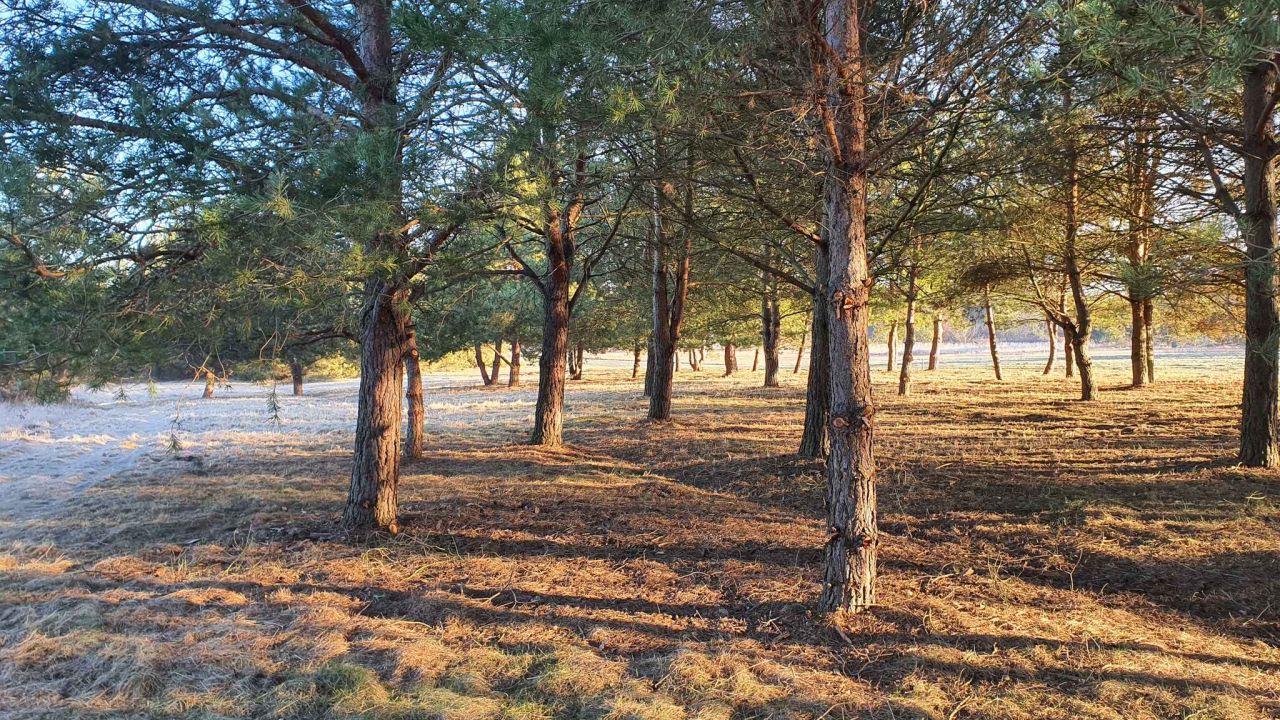 Działka budowlana Skarbka Bidzińszczyzna. Zdjęcie 3