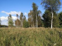 Działka rekreacyjna Szczechy Małe. Zdjęcie 4