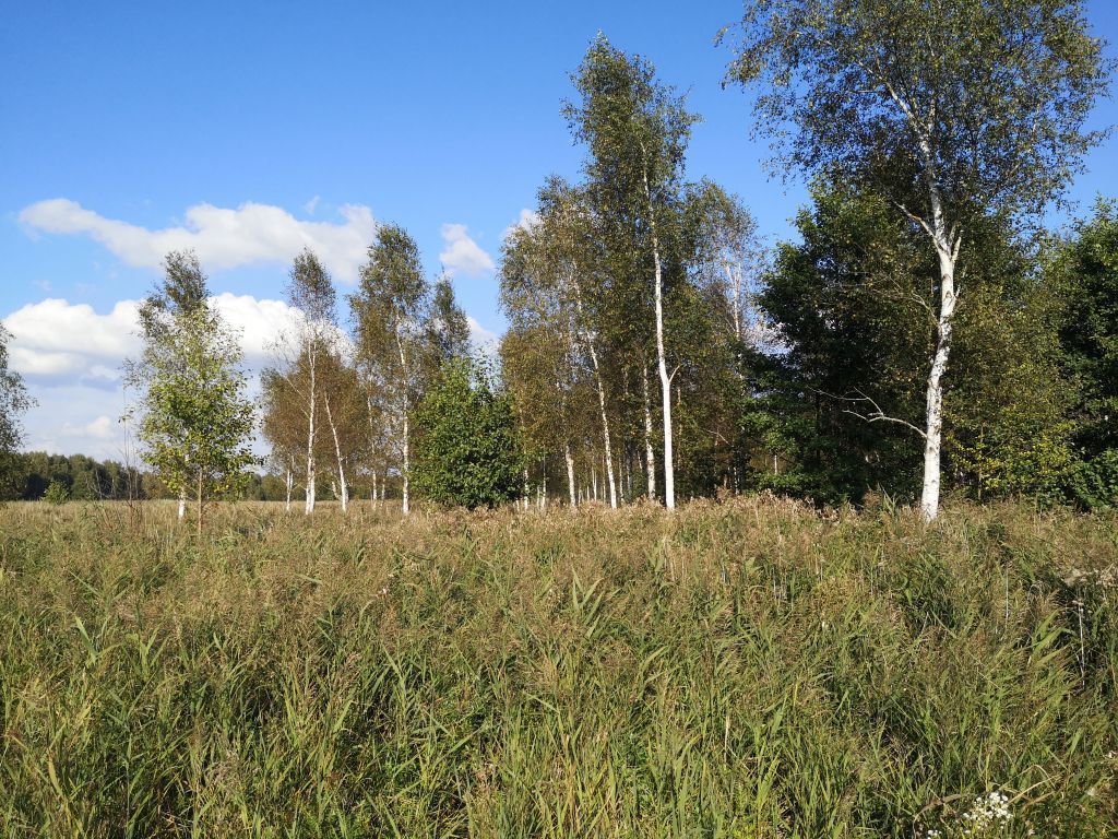 Działka rekreacyjna Szczechy Małe. Zdjęcie 6