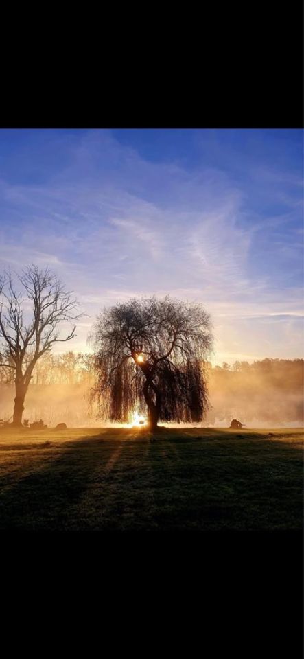 Działka budowlana Chełm Dolny. Zdjęcie 7