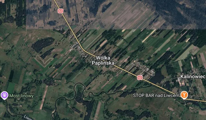 Działka leśna Wólka Paplińska