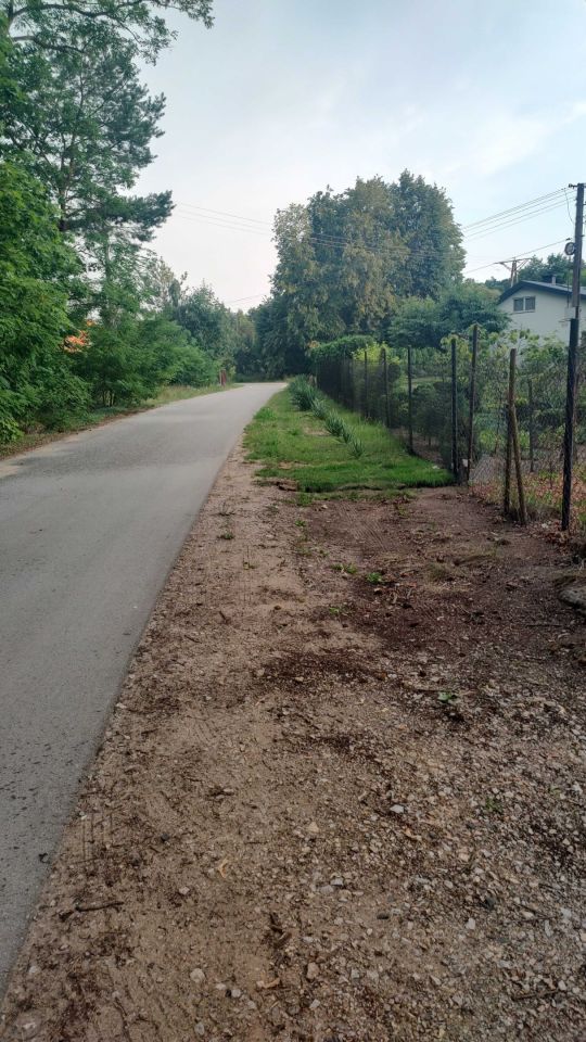 Działka leśna Julianów Raducki. Zdjęcie 6