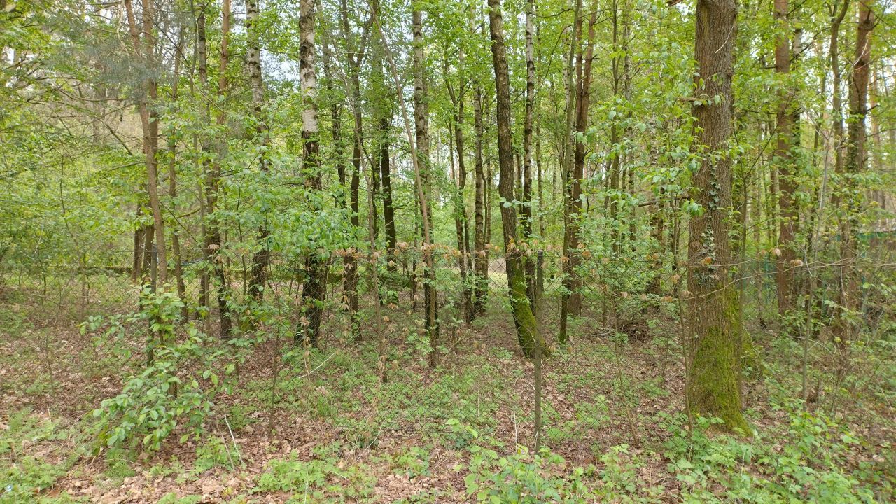 Działka budowlana Zofiówka, ul. Kolorowa. Zdjęcie 13