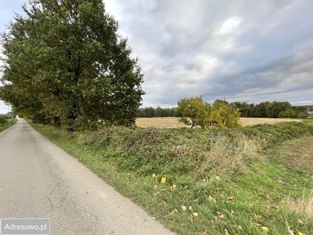 Działka rolno-budowlana Żytna, ul. Sobieskiego. Zdjęcie 1