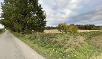 Działka rolno-budowlana Żytna, ul. Sobieskiego