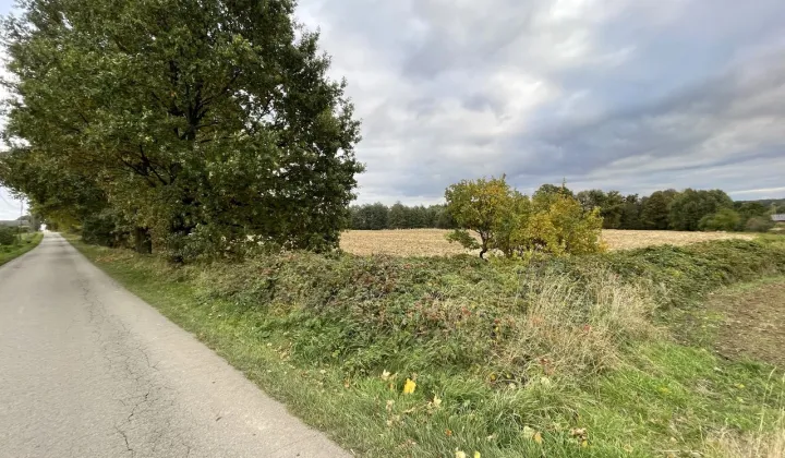 Działka rolno-budowlana Żytna, ul. Sobieskiego