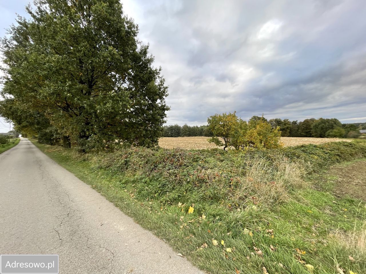 Działka rolno-budowlana Żytna, ul. Sobieskiego