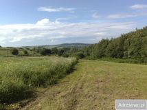 Działka rolna Łęki Dukielskie. Zdjęcie 2