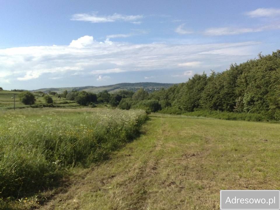 Działka rolna Łęki Dukielskie. Zdjęcie 3