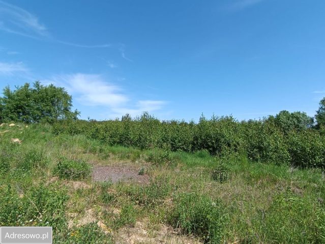 Działka budowlana Bytom Sucha Góra. Zdjęcie 1