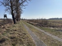 Działka budowlana Smołdziński Las. Zdjęcie 4