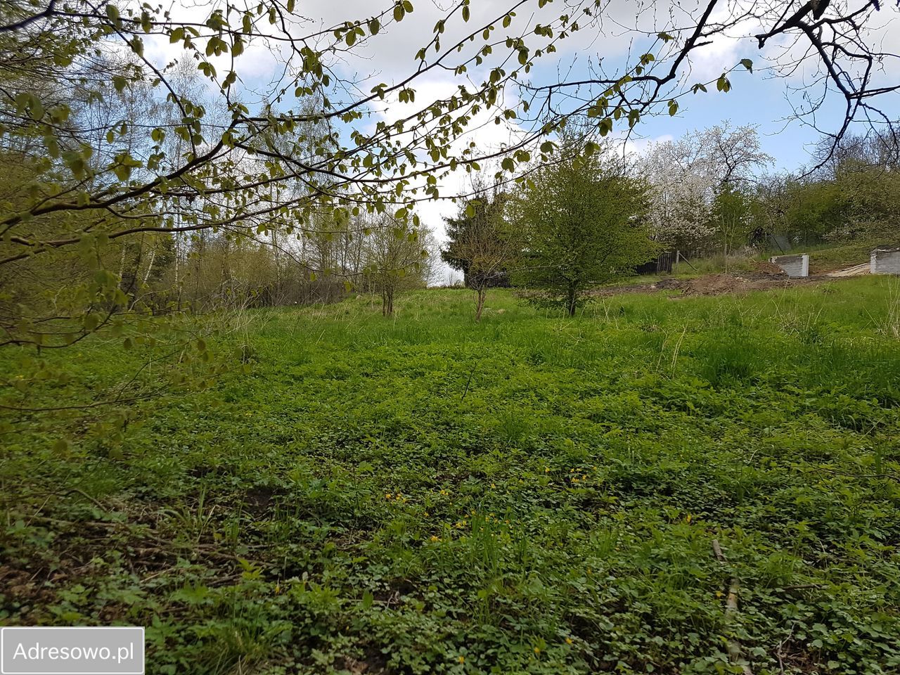 Działka rekreacyjna Rozalinowo