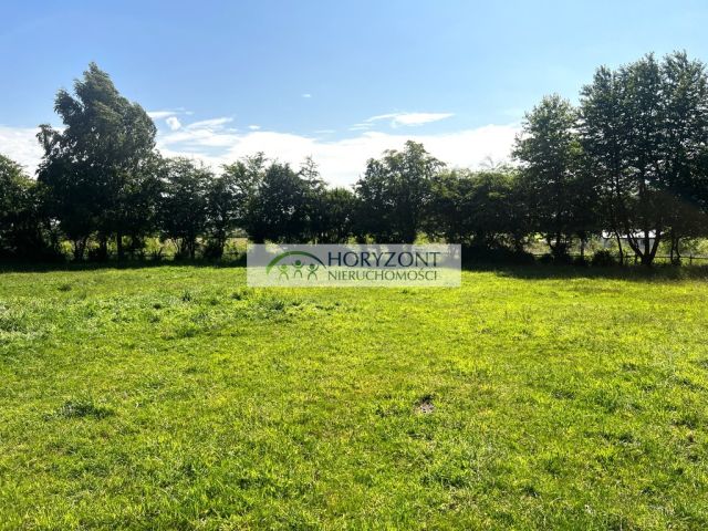Działka Rybaki. Zdjęcie 6