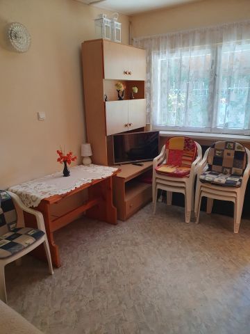 Działka rod Koninko, ul. Porzeczkowa. Zdjęcie 12