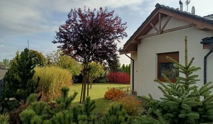 dom wolnostojący, 3 pokoje Dopiewo, ul. Zimowa