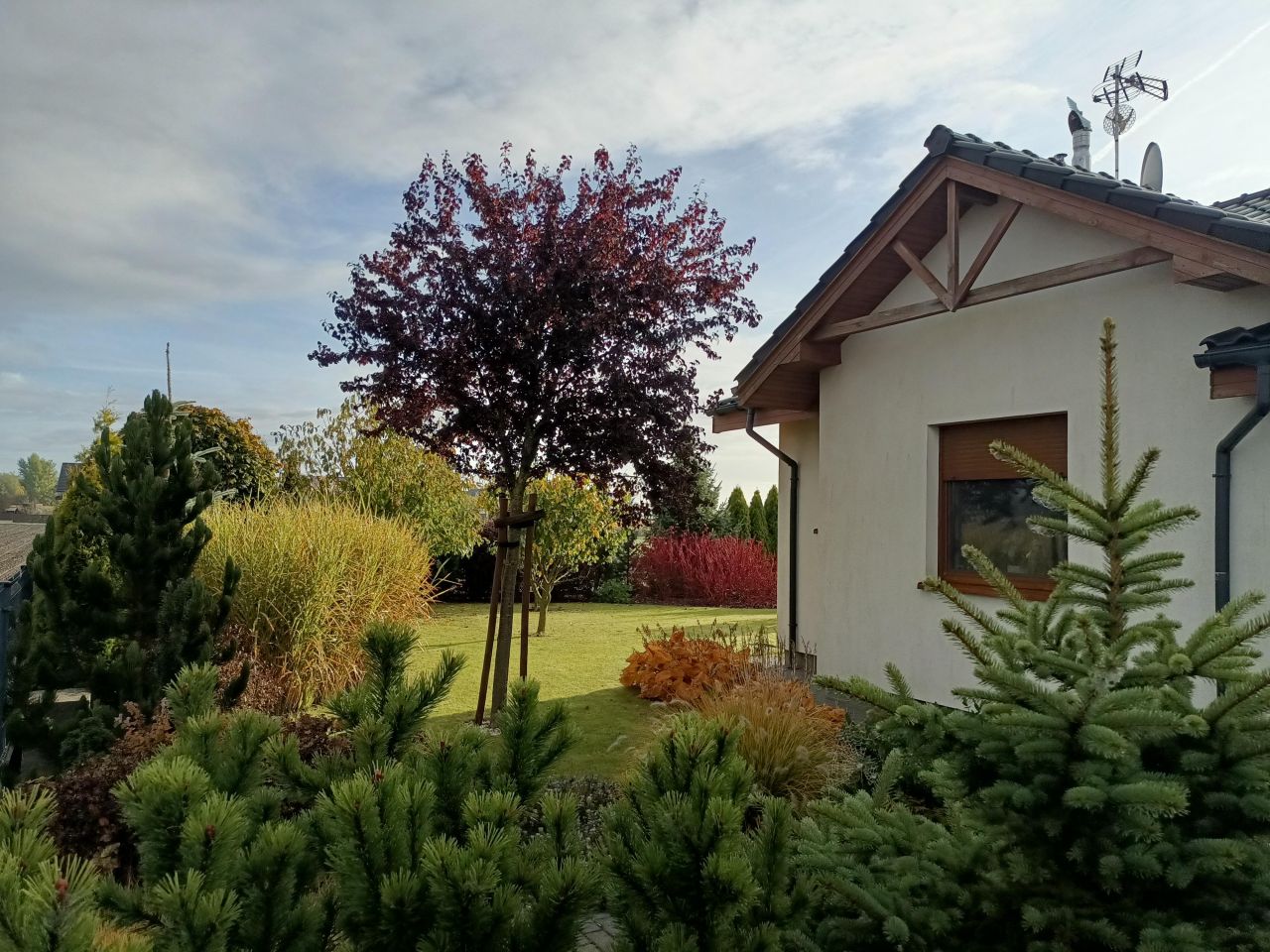 dom wolnostojący, 3 pokoje Dopiewo, ul. Zimowa