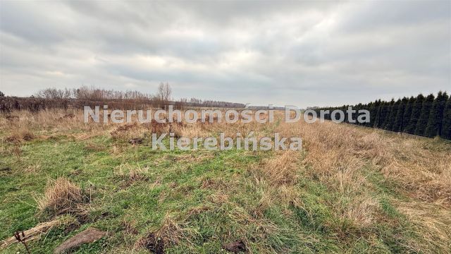 Działka budowlana Tomaszów Mazowiecki, ul. Starowiejska. Zdjęcie 8