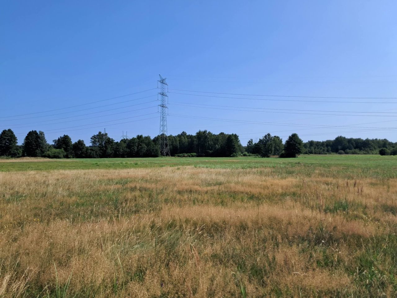 Działka budowlana Teklinów Karolinów, ul. Wspólna. Zdjęcie 5