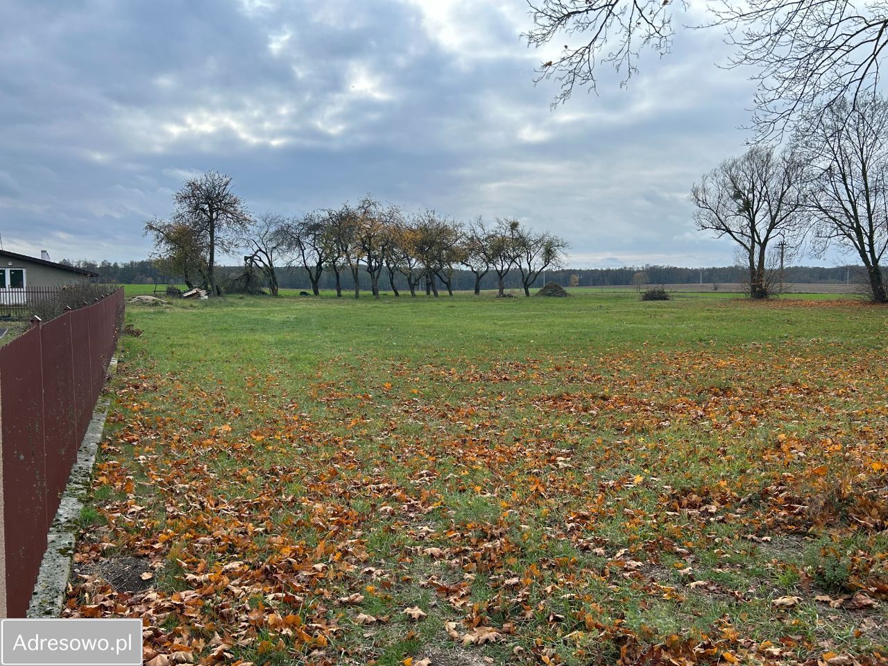 gospodarstwo, 6 pokoi Grądy-Możdżenie. Zdjęcie 11