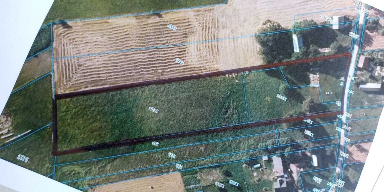 Działka rolna Pijawne Ruskie. Zdjęcie 2