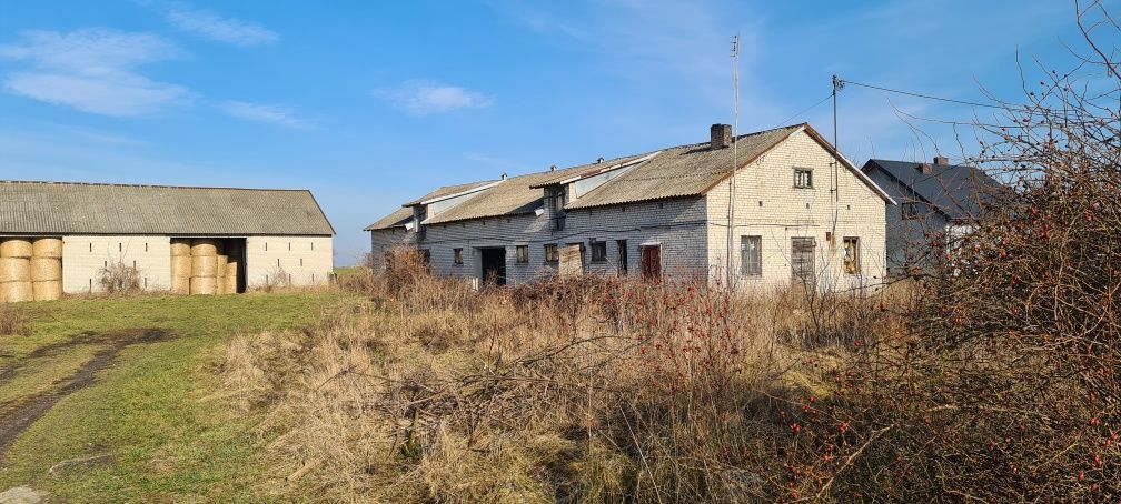 Działka rolno-budowlana Cieciersk. Zdjęcie 2